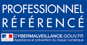 Brain Networks, prestataire référencé cybermalveillance.gouv.fr logo professionnel référencé cybermalveillance.gouv.fr